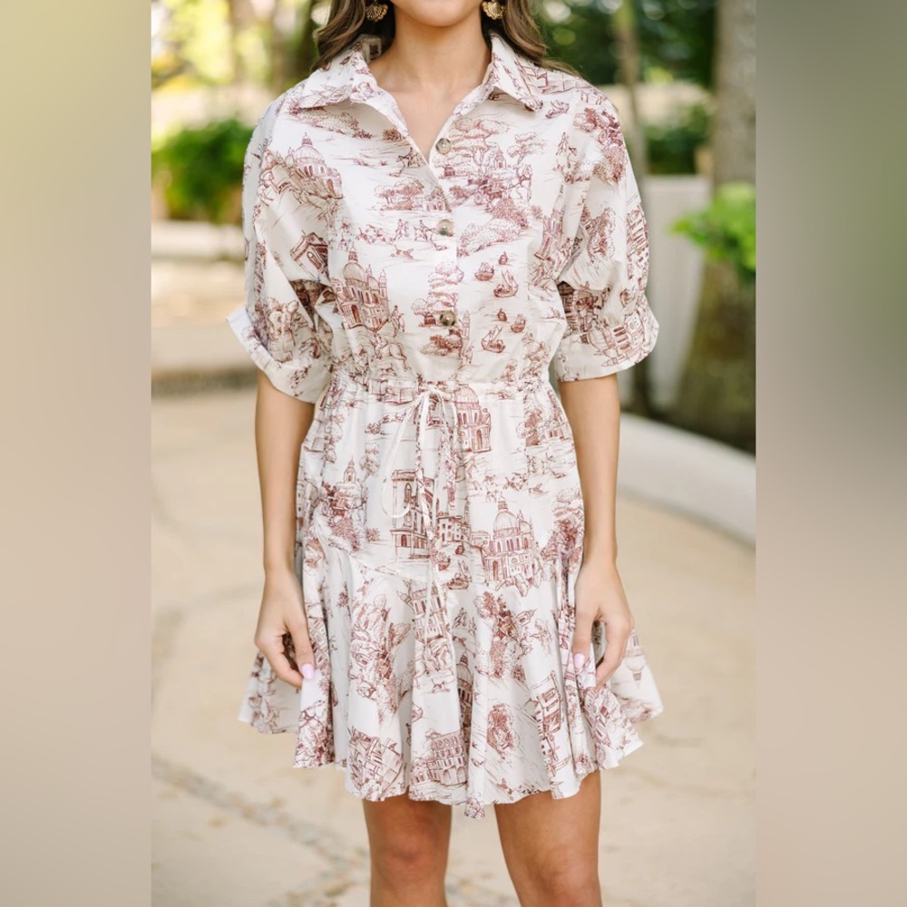 Take Your Word Italian Toile Print Dress SZ L